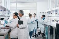 scientists working in a lab